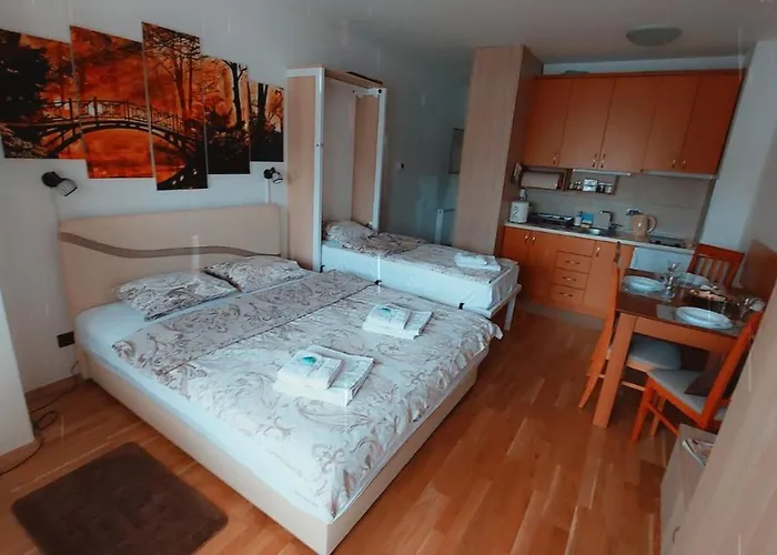 公寓 69 兹拉蒂博尔